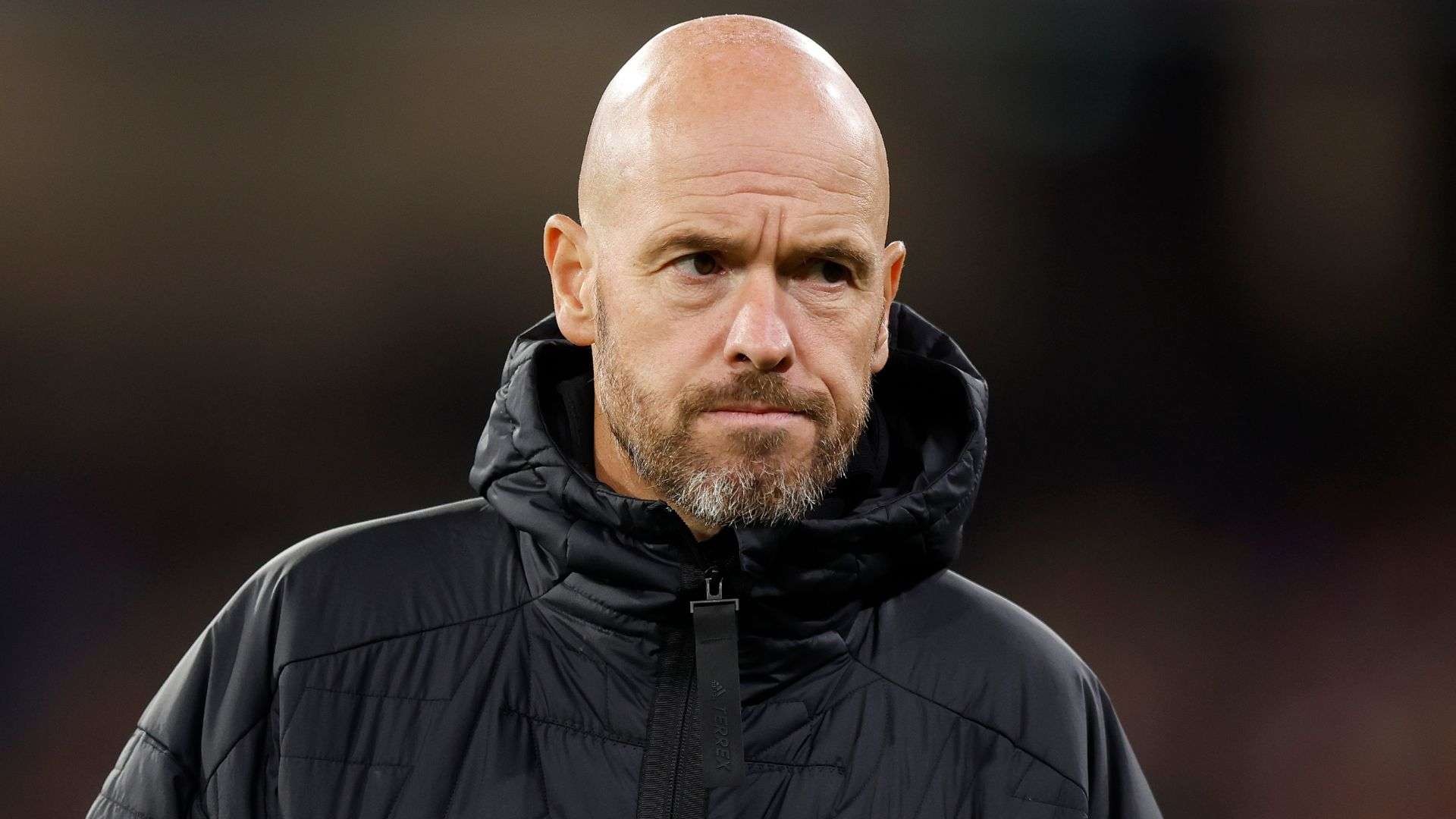 更具侵略性 更具侵略性